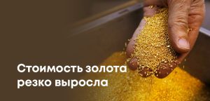 Цена золота побила рекорд: $3200 за унцию (новый максимум)