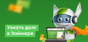 Как узнать долг в Займере (Zaimer.kz): по ИИН, фамилии, телефону и другим способам